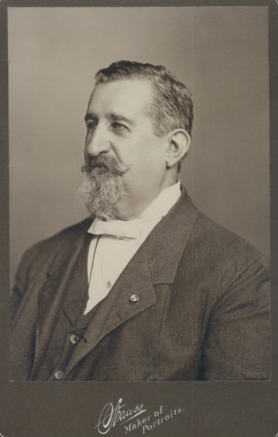 Bust Portrait of Leopold Methudy Wearing a Suit, Vest, and Bow Tie, Turned to the Left by St. Louis Strauss